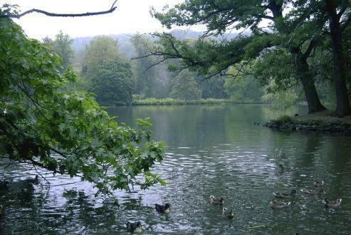 Ferienwohnung Und Pension Guertler Mohlsdorf Exteriér fotografie